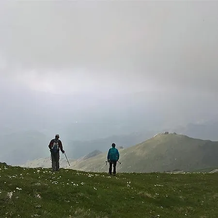 Dell' Olmo Ormea
