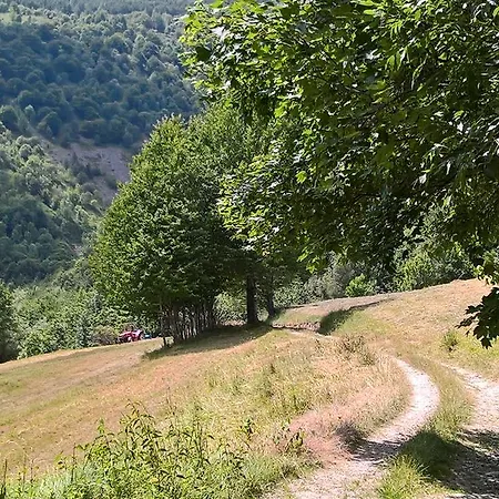 Dell' Olmo 3* Ormea